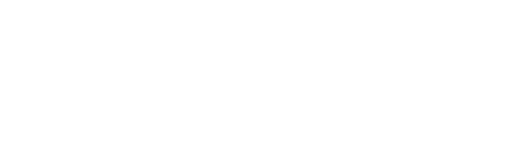 Odin Inc logo